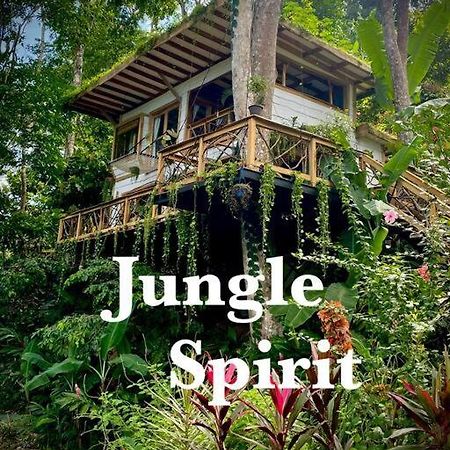 Villa Jungle Spirit Treehouse Cahuita Esterno foto