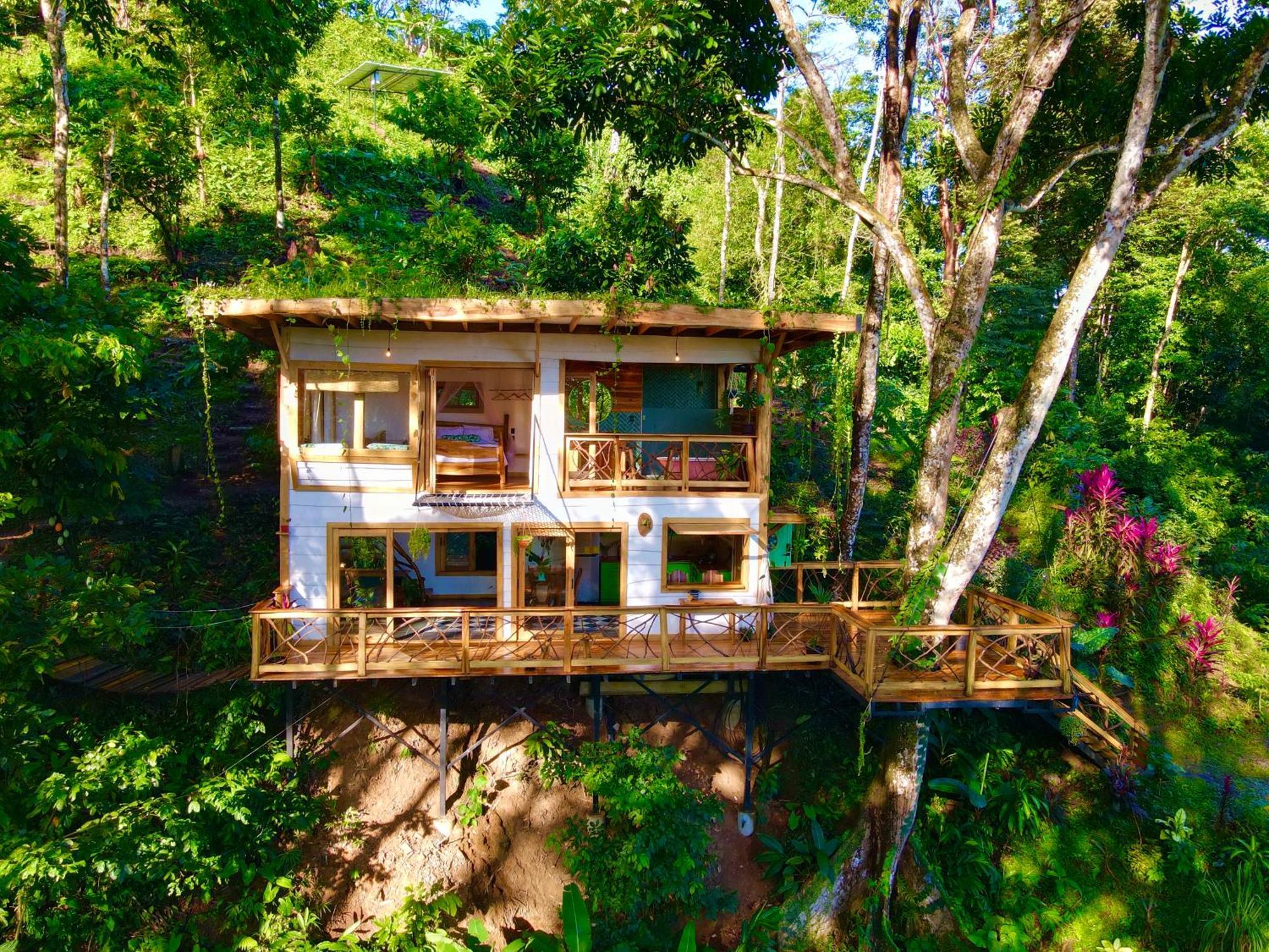 Villa Jungle Spirit Treehouse Cahuita Esterno foto