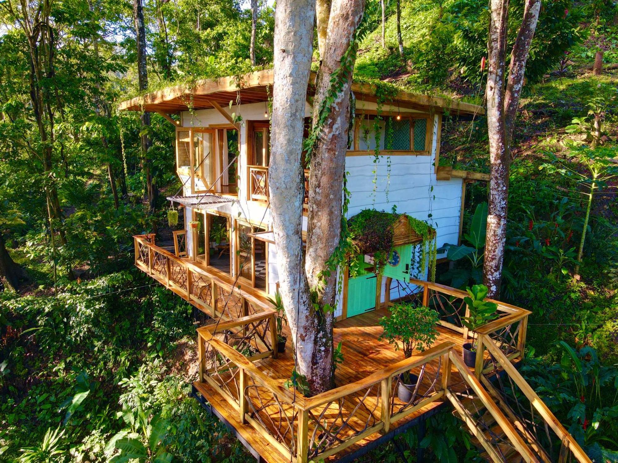 Villa Jungle Spirit Treehouse Cahuita Esterno foto