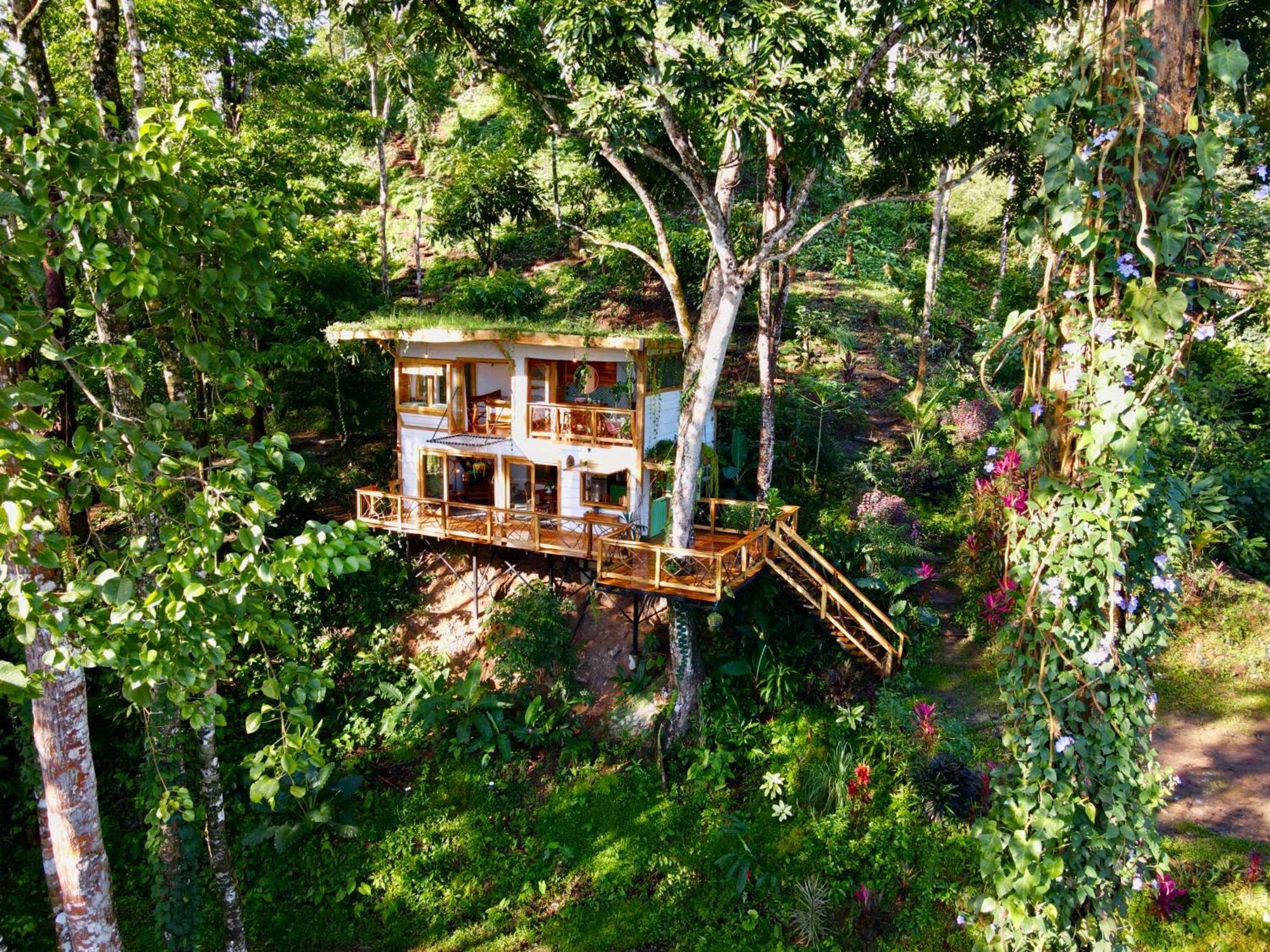 Villa Jungle Spirit Treehouse Cahuita Esterno foto