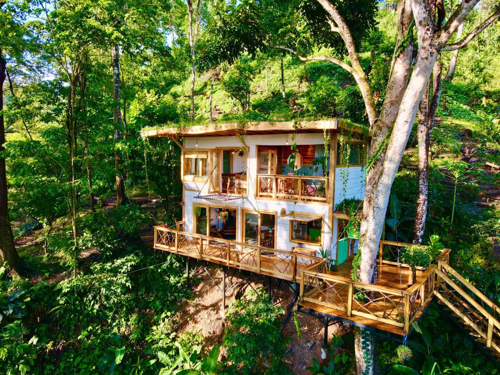 Villa Jungle Spirit Treehouse Cahuita Esterno foto