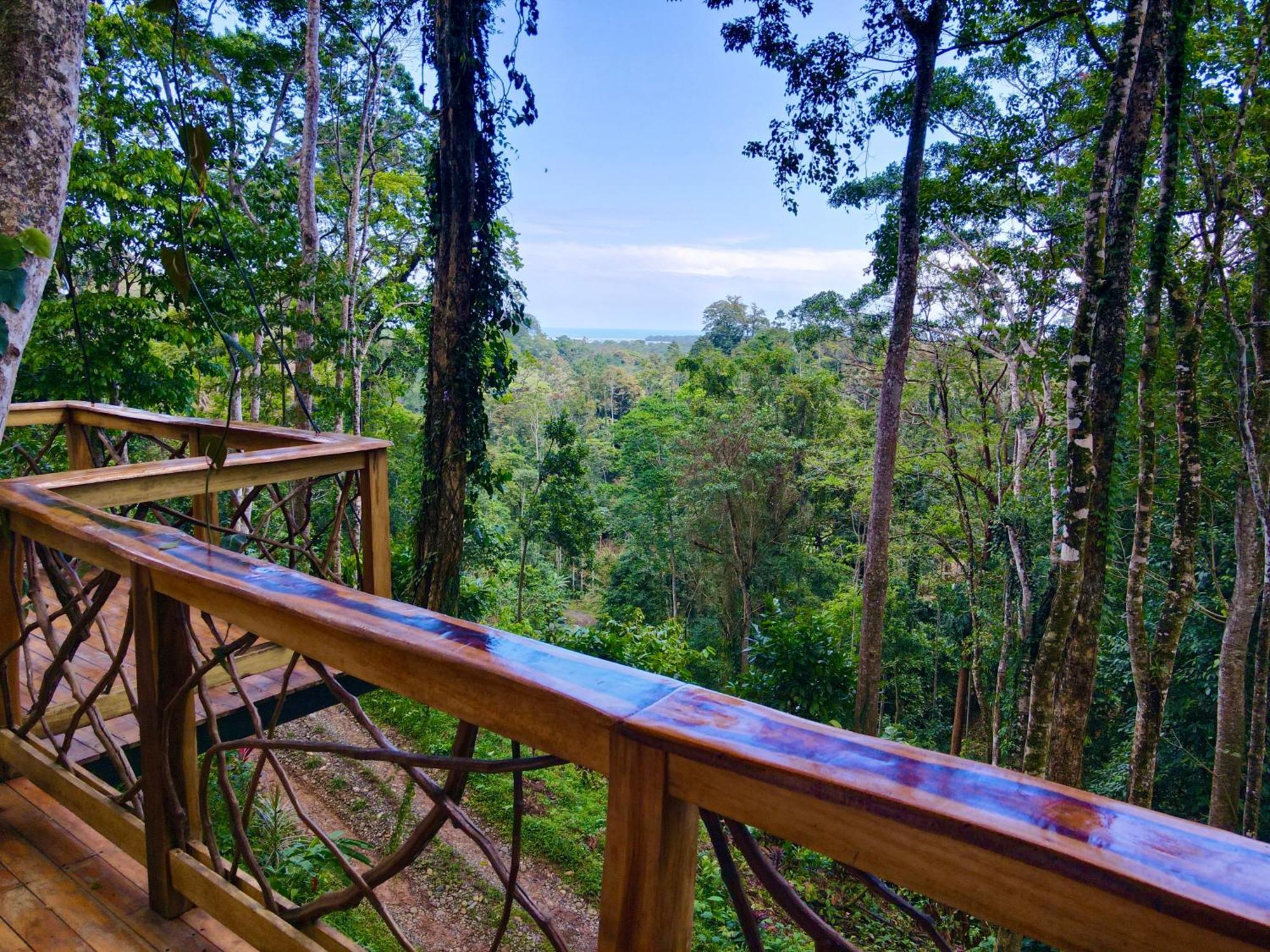 Villa Jungle Spirit Treehouse Cahuita Esterno foto