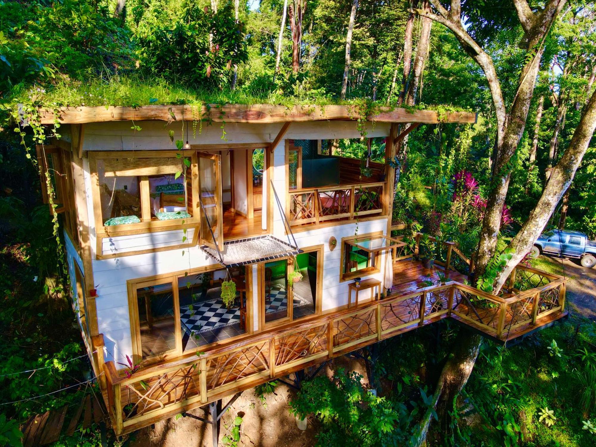 Villa Jungle Spirit Treehouse Cahuita Esterno foto