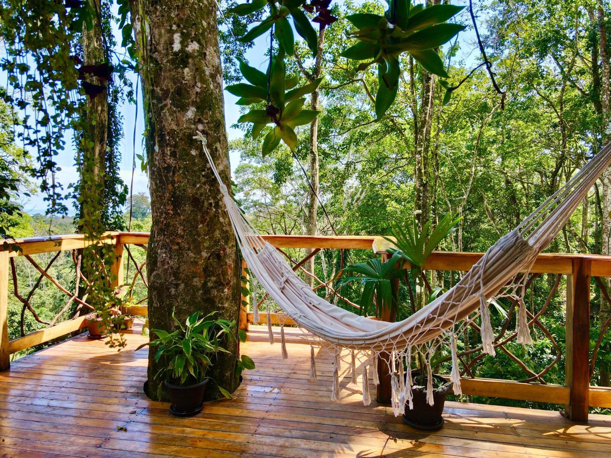 Villa Jungle Spirit Treehouse Cahuita Esterno foto