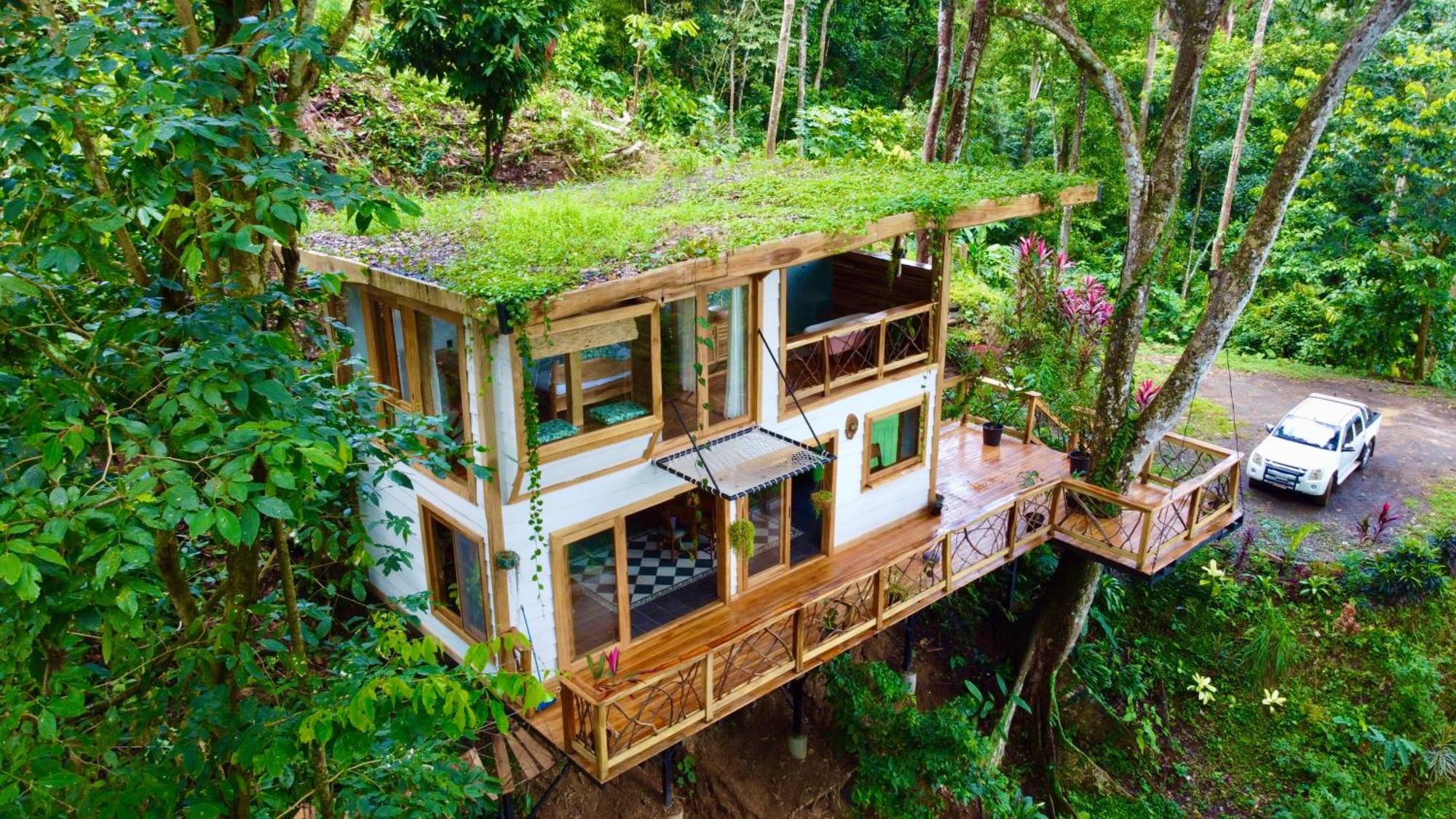 Villa Jungle Spirit Treehouse Cahuita Esterno foto