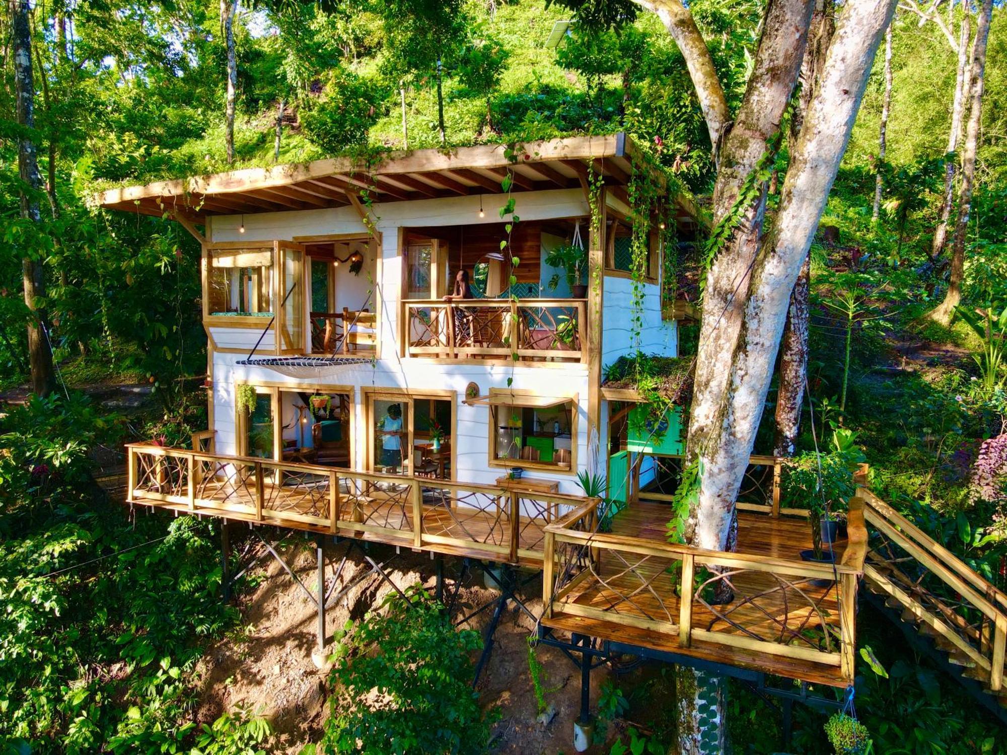 Villa Jungle Spirit Treehouse Cahuita Esterno foto