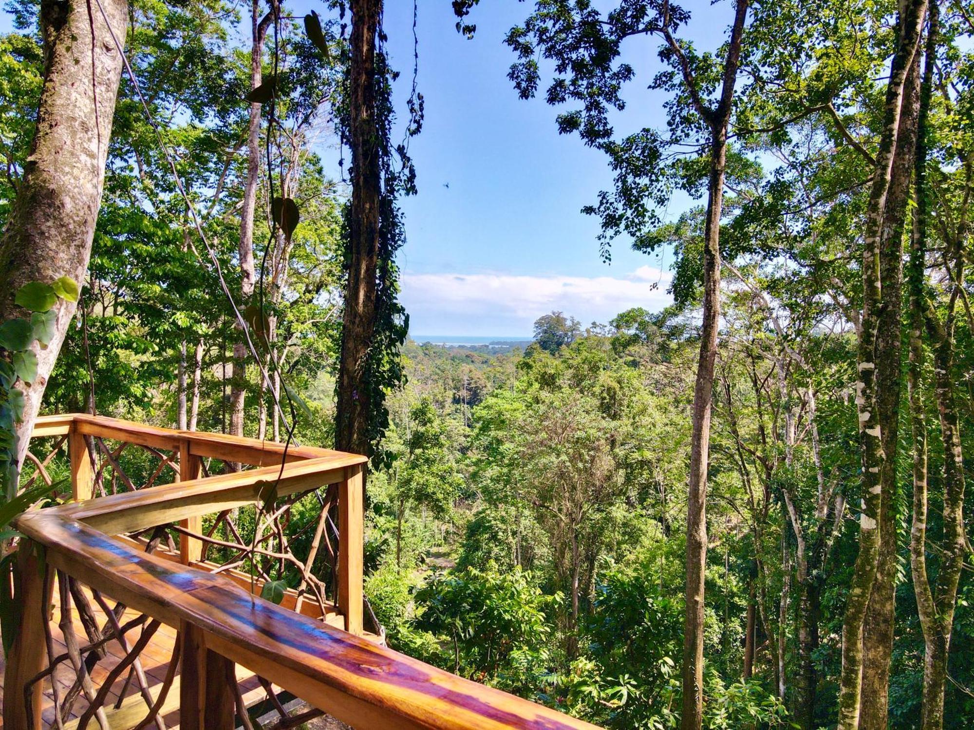 Villa Jungle Spirit Treehouse Cahuita Esterno foto