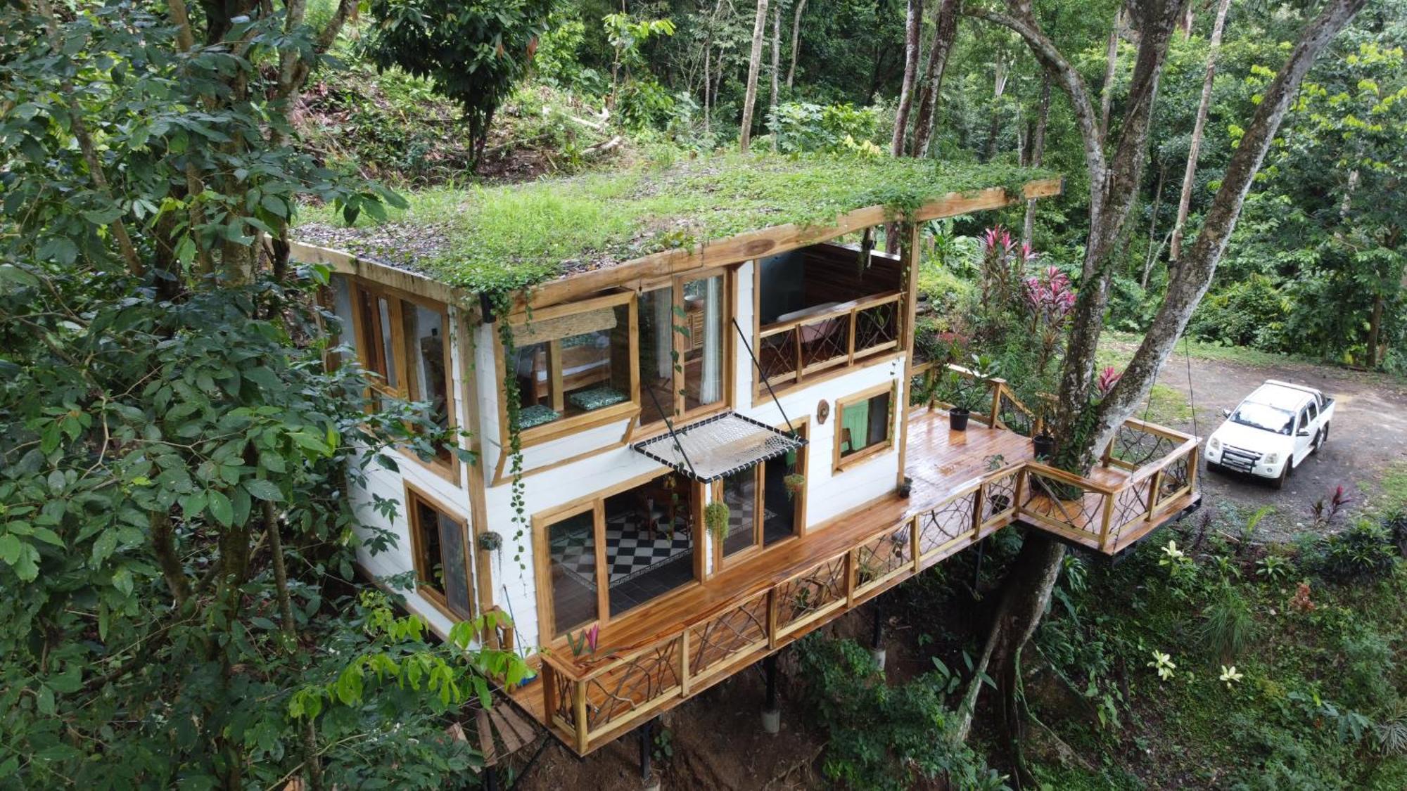 Villa Jungle Spirit Treehouse Cahuita Esterno foto