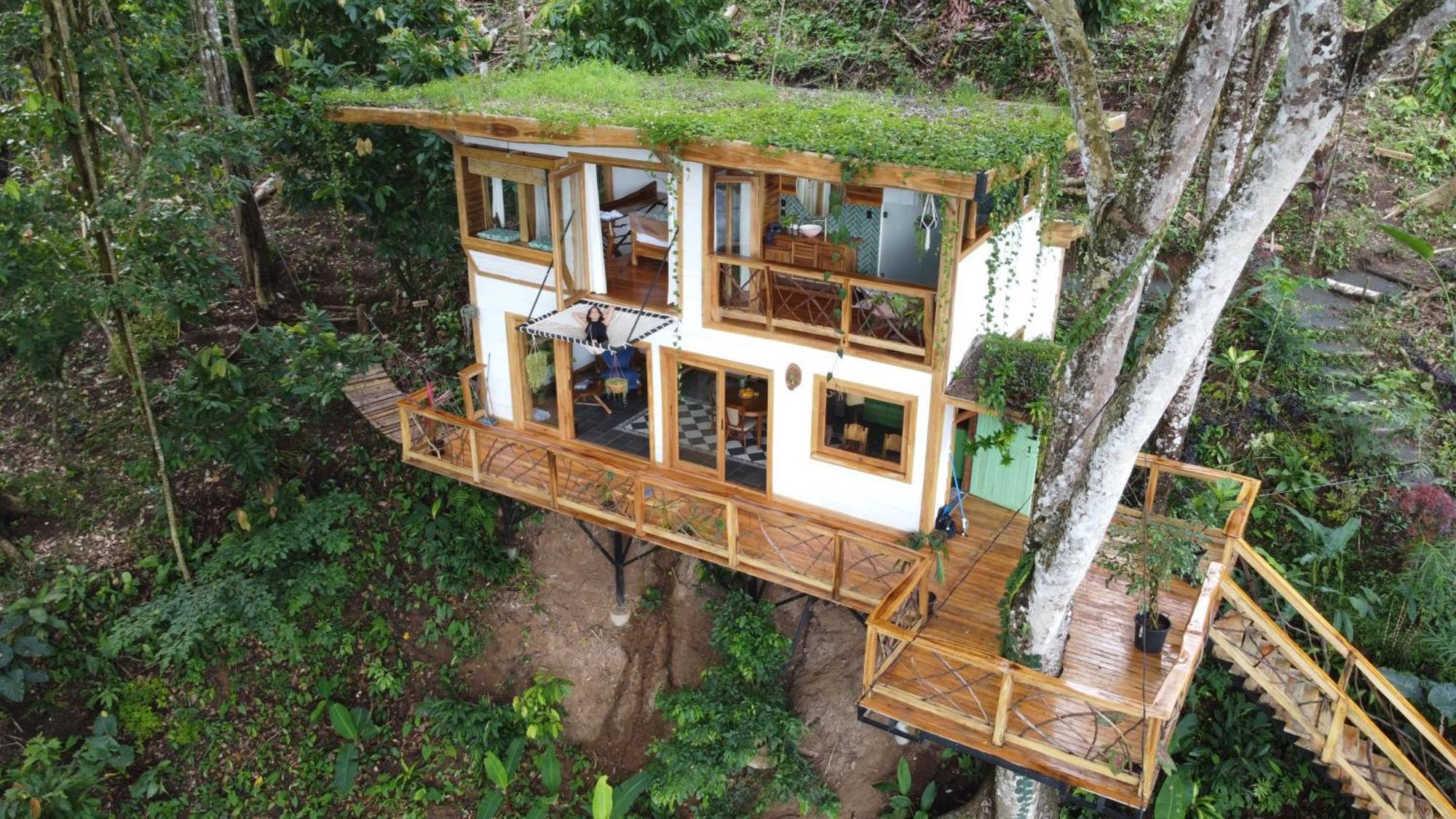 Villa Jungle Spirit Treehouse Cahuita Esterno foto