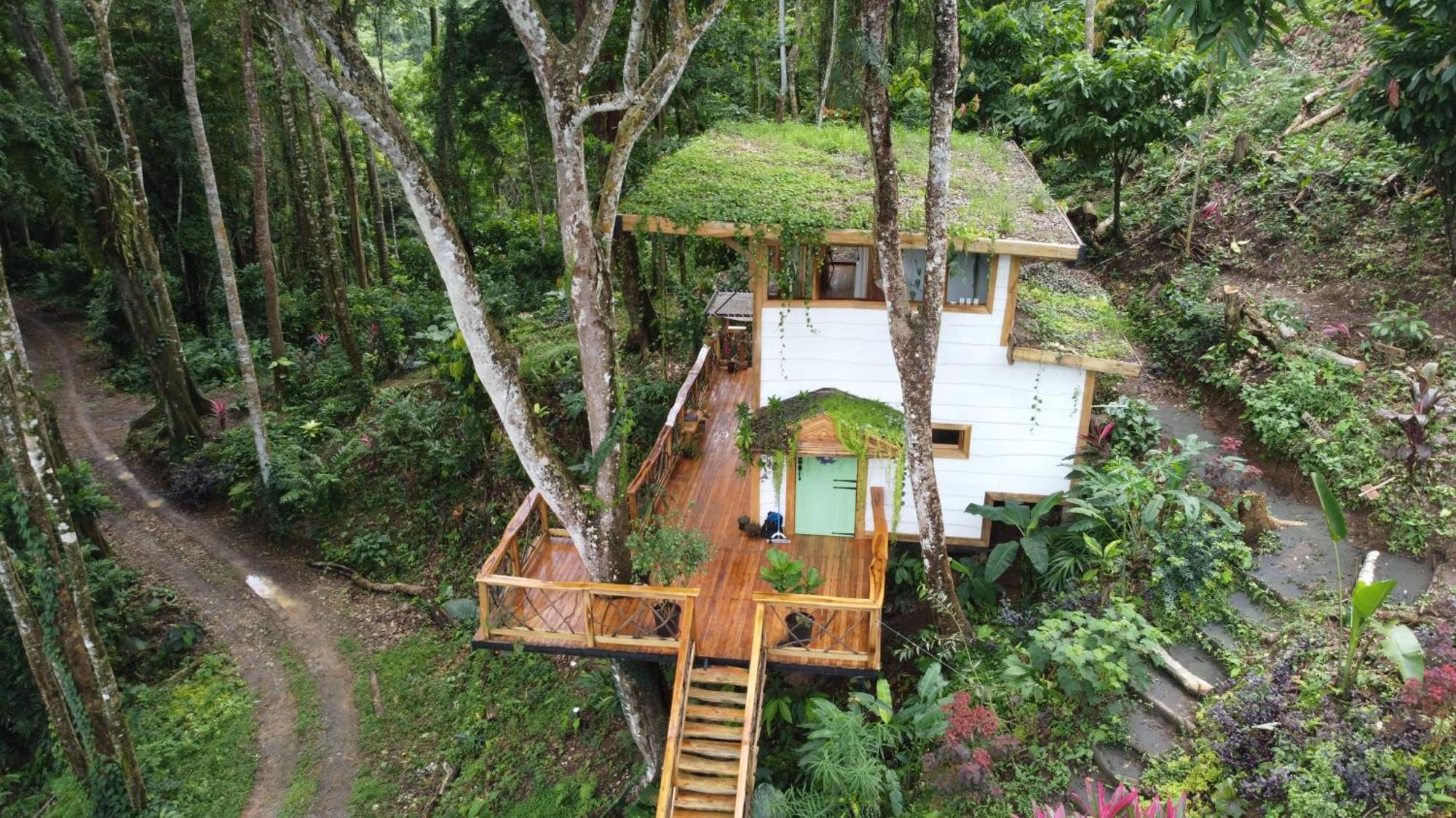 Villa Jungle Spirit Treehouse Cahuita Esterno foto