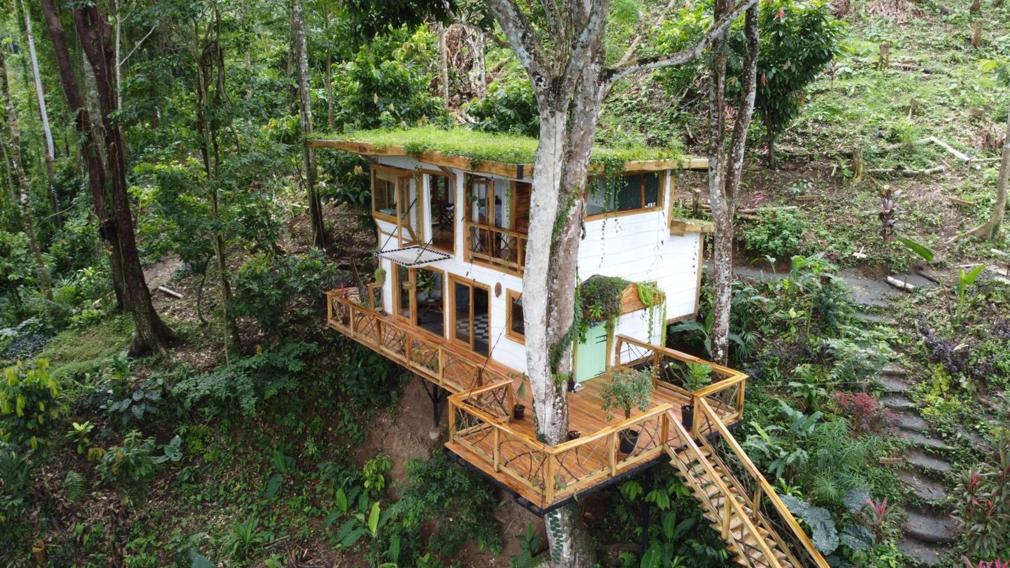 Villa Jungle Spirit Treehouse Cahuita Esterno foto