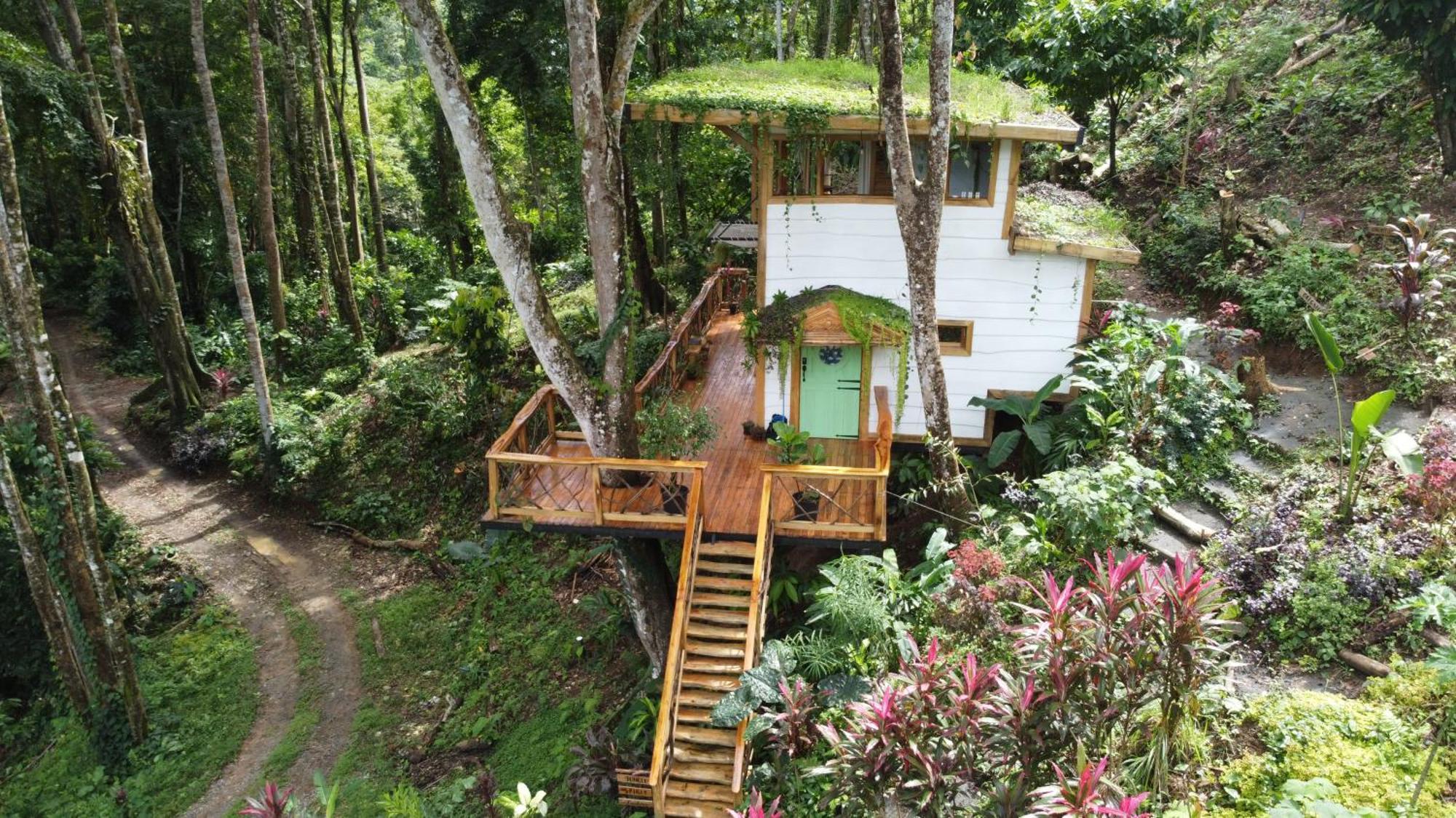 Villa Jungle Spirit Treehouse Cahuita Esterno foto
