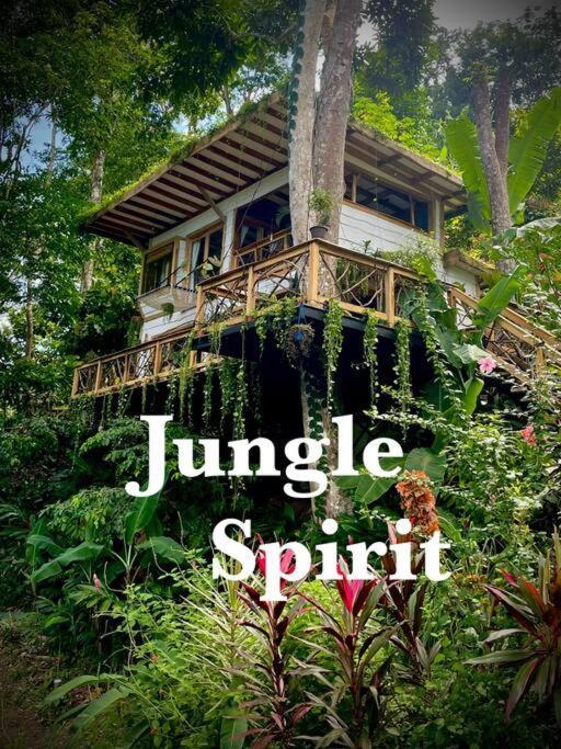 Villa Jungle Spirit Treehouse Cahuita Esterno foto