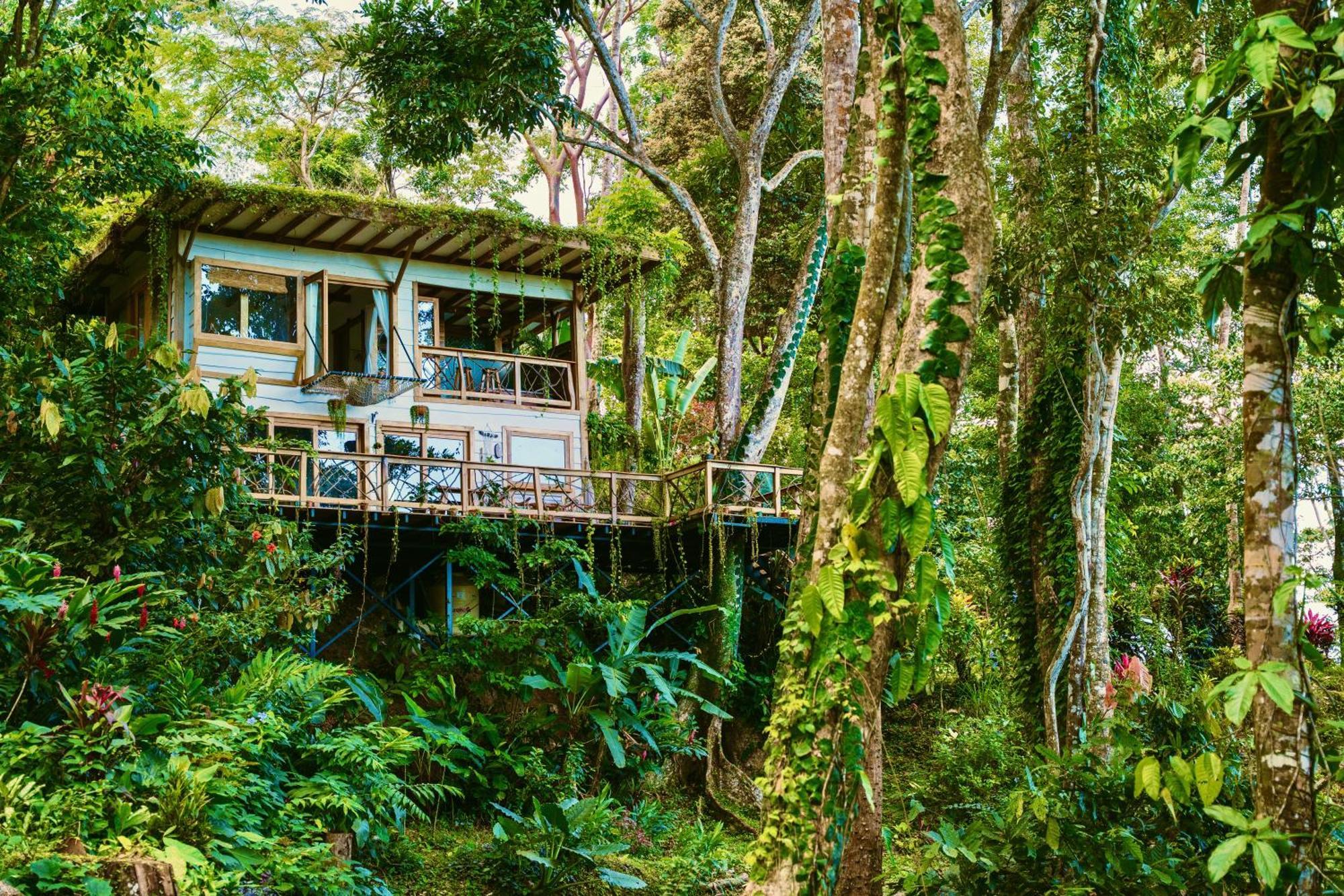 Villa Jungle Spirit Treehouse Cahuita Esterno foto
