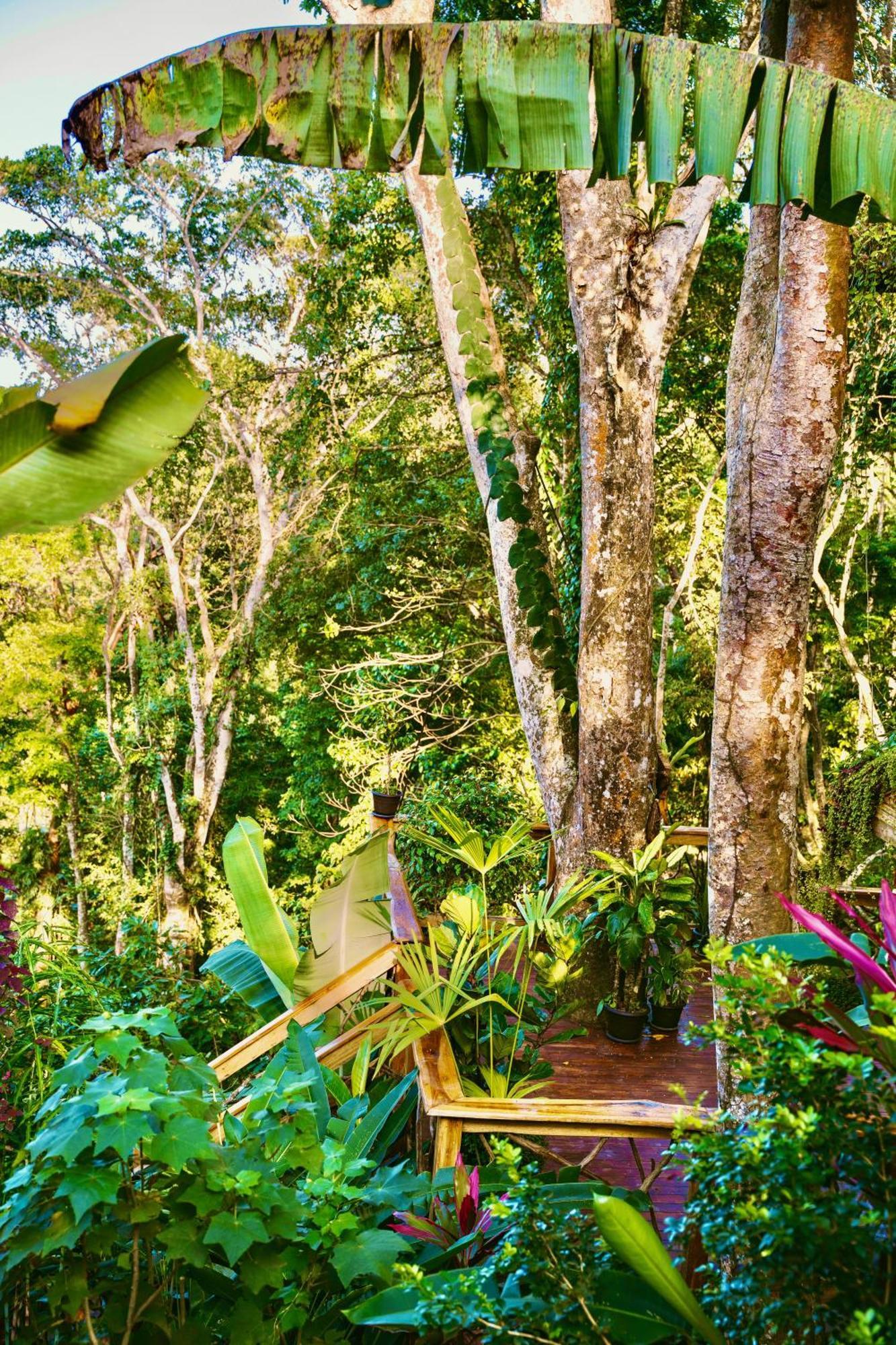 Villa Jungle Spirit Treehouse Cahuita Esterno foto