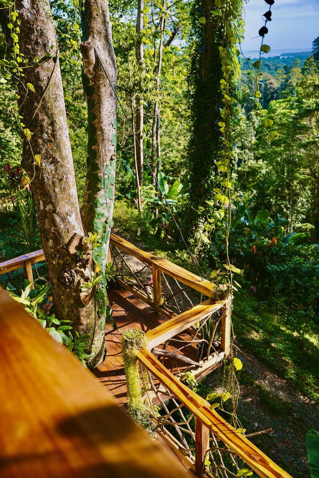 Villa Jungle Spirit Treehouse Cahuita Esterno foto