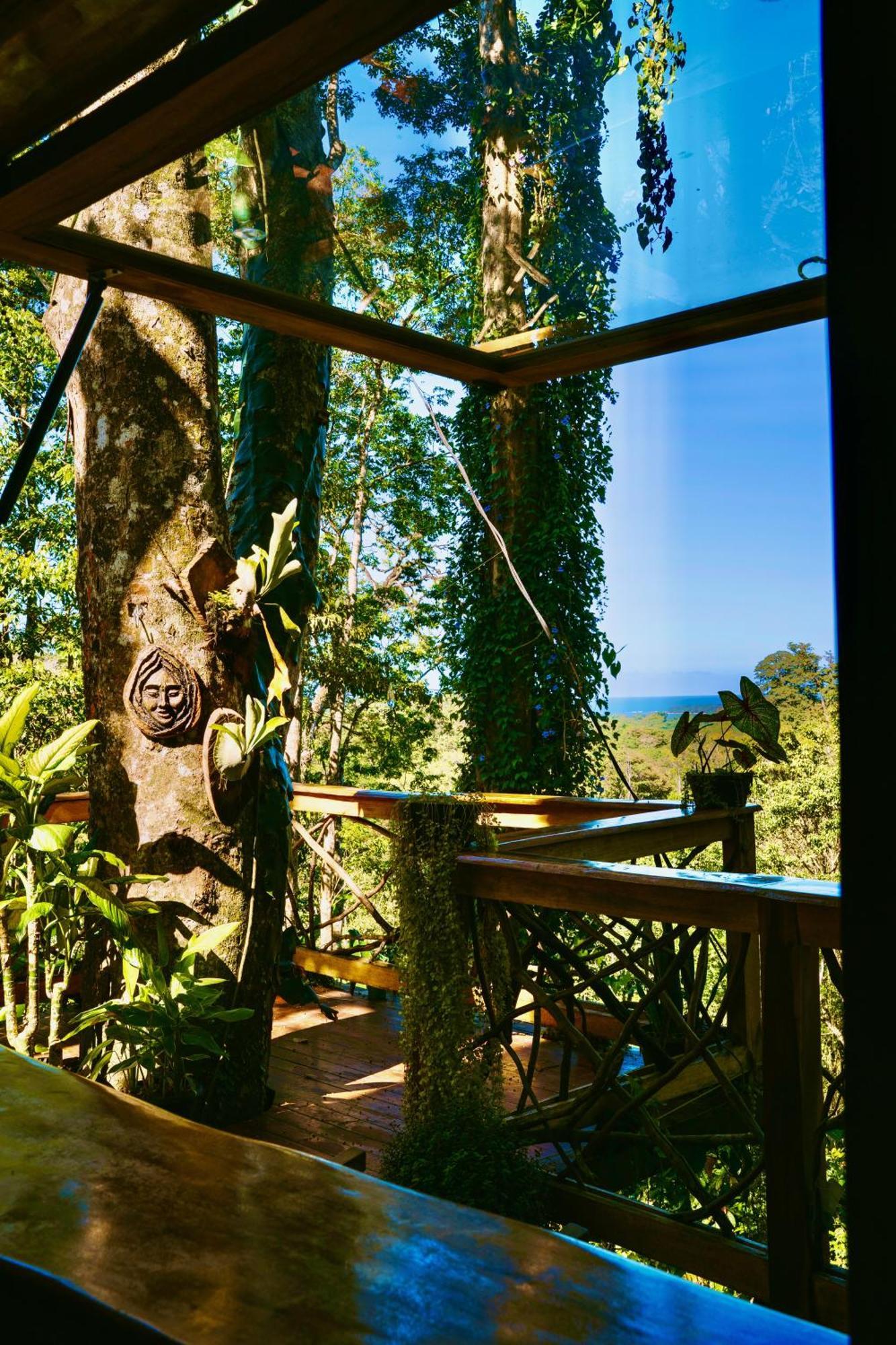 Villa Jungle Spirit Treehouse Cahuita Esterno foto
