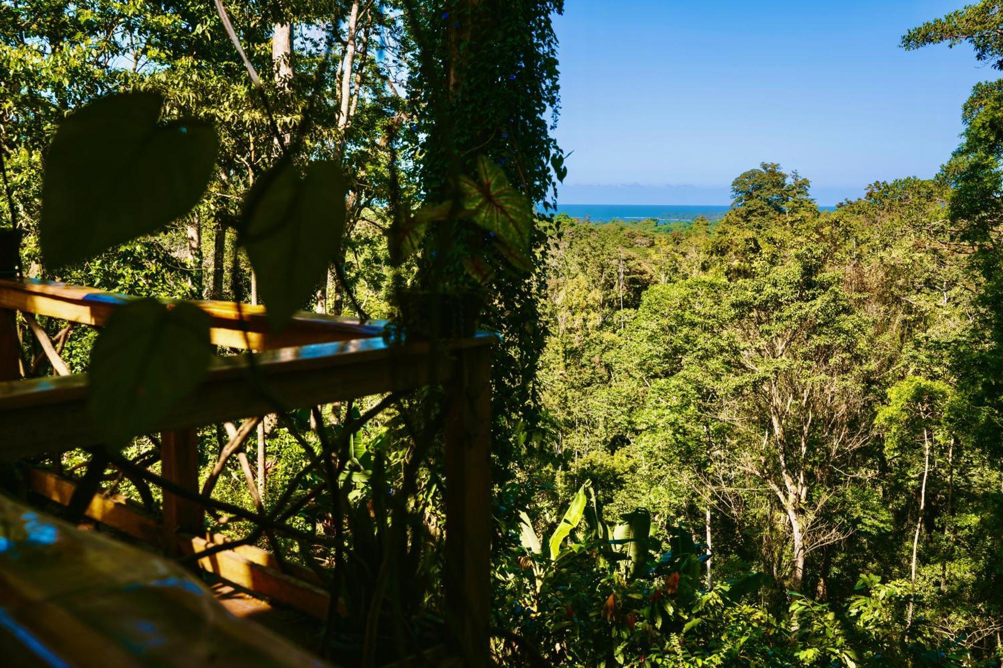 Villa Jungle Spirit Treehouse Cahuita Esterno foto