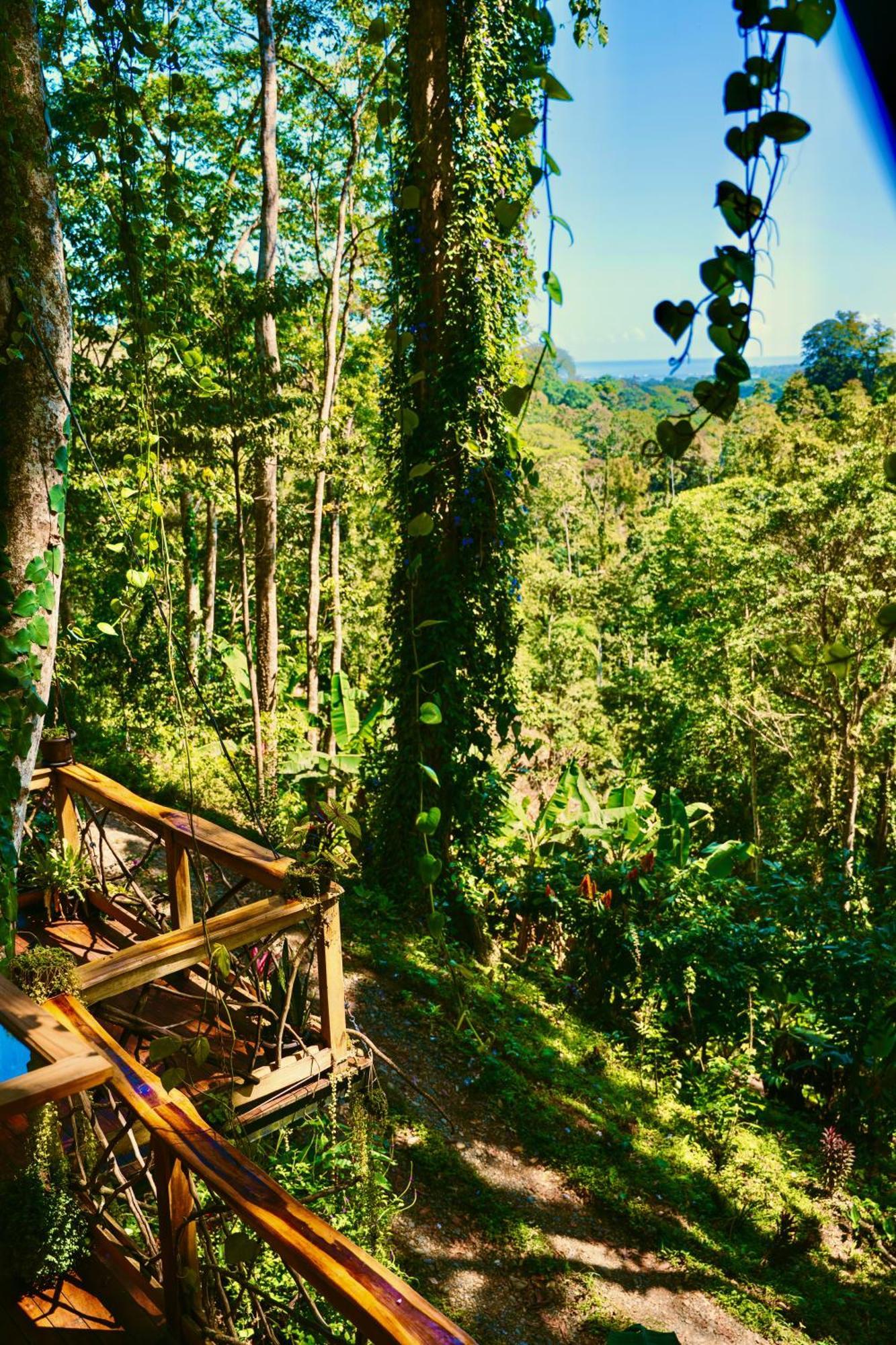 Villa Jungle Spirit Treehouse Cahuita Esterno foto