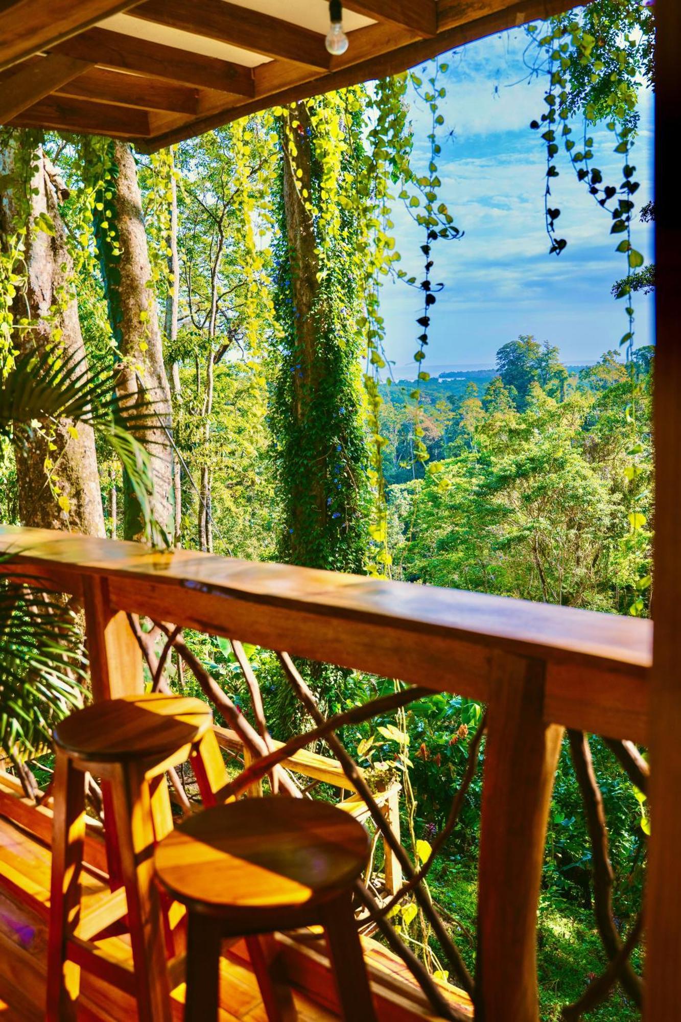 Villa Jungle Spirit Treehouse Cahuita Esterno foto